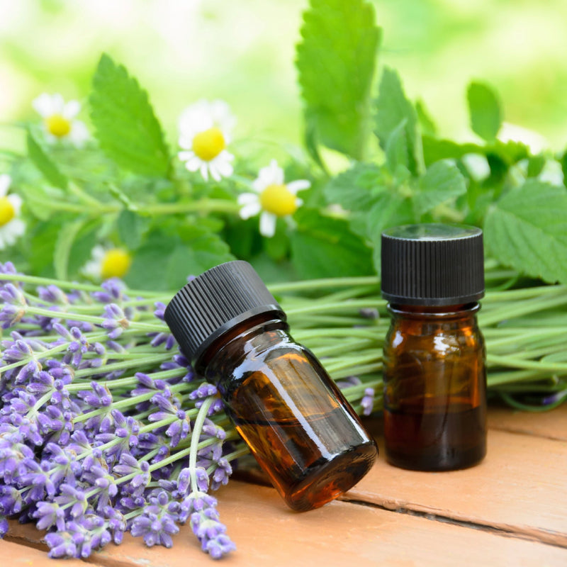 Aceites Esenciales: Todo lo que necesitas saber para su uso en Aromaterapia y Salud - Rincón Zen