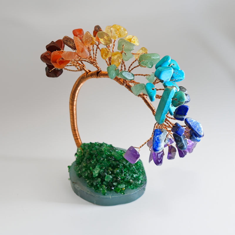 Bonsai 7 Chakras