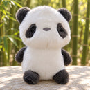 Peluche Panda