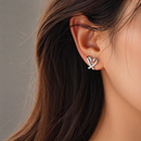 Aros Corazon Plateado
