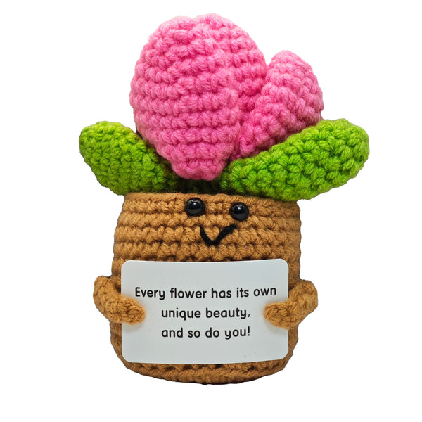 Figura Crochet - Suculenta Positiva