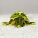 Peluche Tortuga