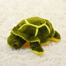 Peluche Tortuga
