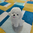Peluche Perrito Nube Blanca - XL