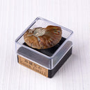 Set de minerales - 9 minerales pequeños en bruto