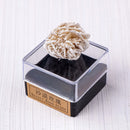 Set de minerales - 9 minerales pequeños en bruto