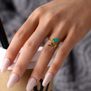 Anillo Hoja de Vida