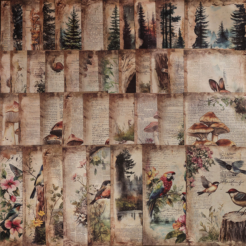 Álbum espíritu de la Naturaleza