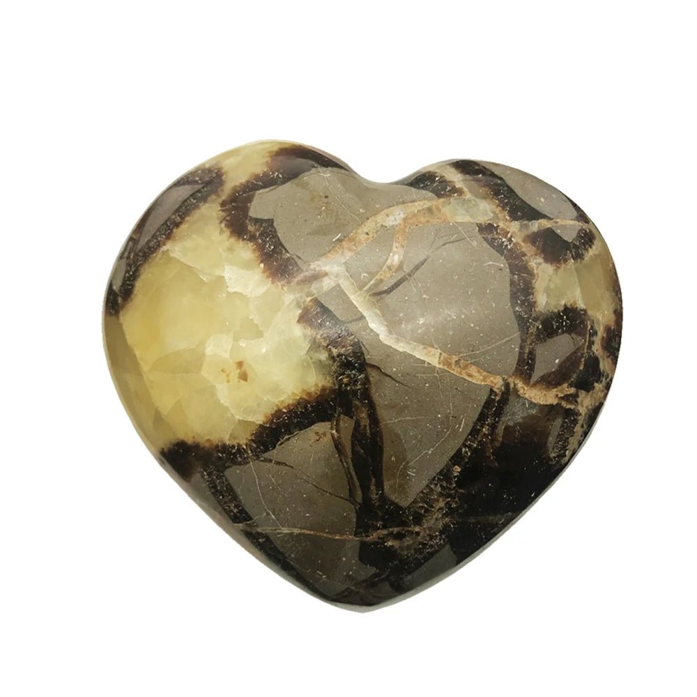 Piedra Septaria Natural