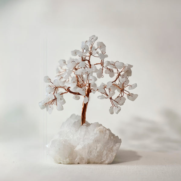 Arbol de Cuarzo blanco