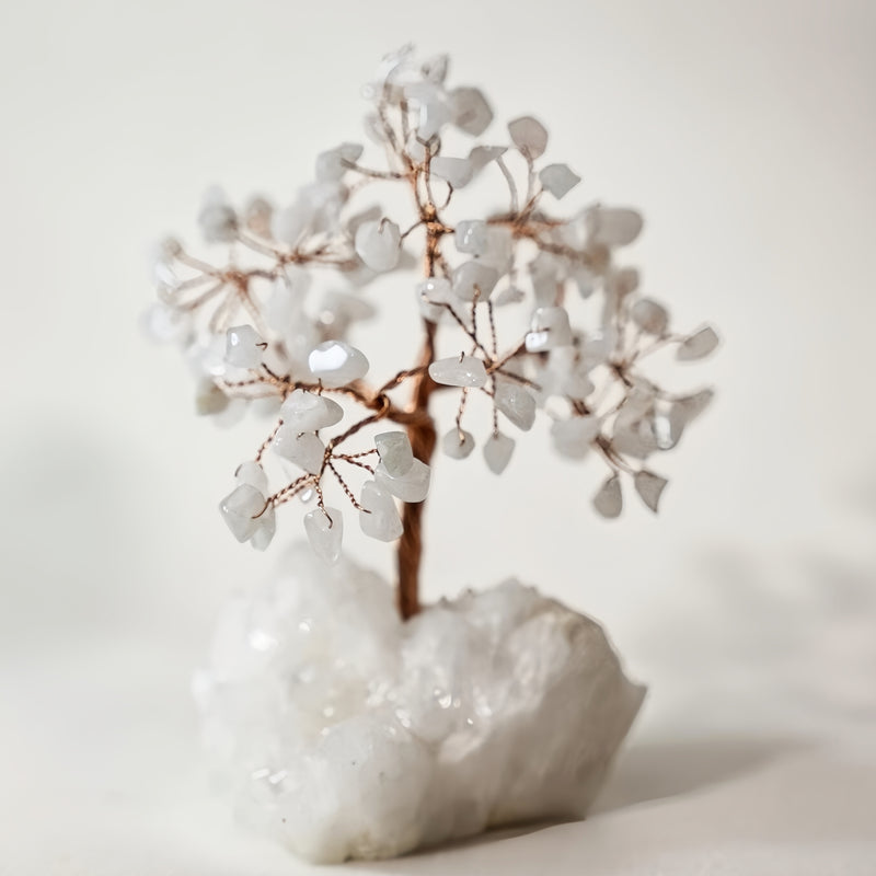 Arbol de Cuarzo blanco